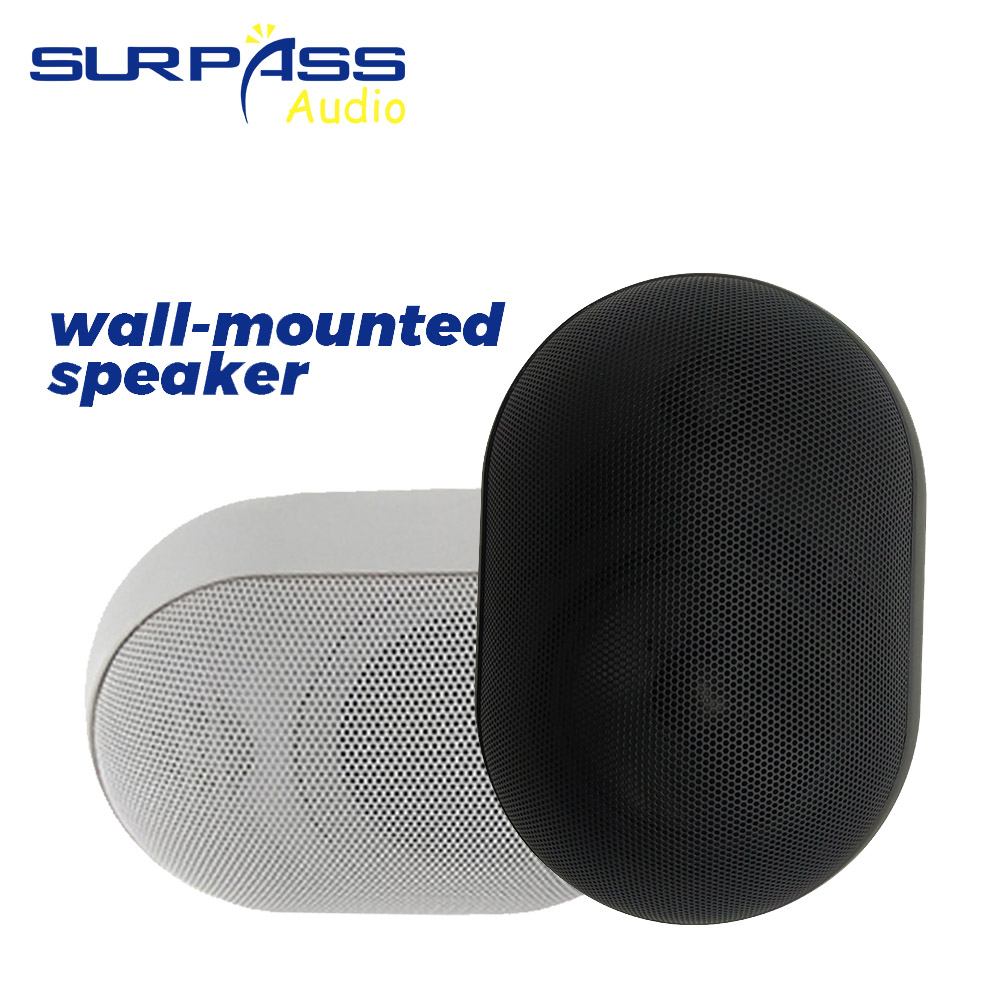 Wall Mount Speaker - Głośnik ścienny 30W, wodoodporny IP55, system